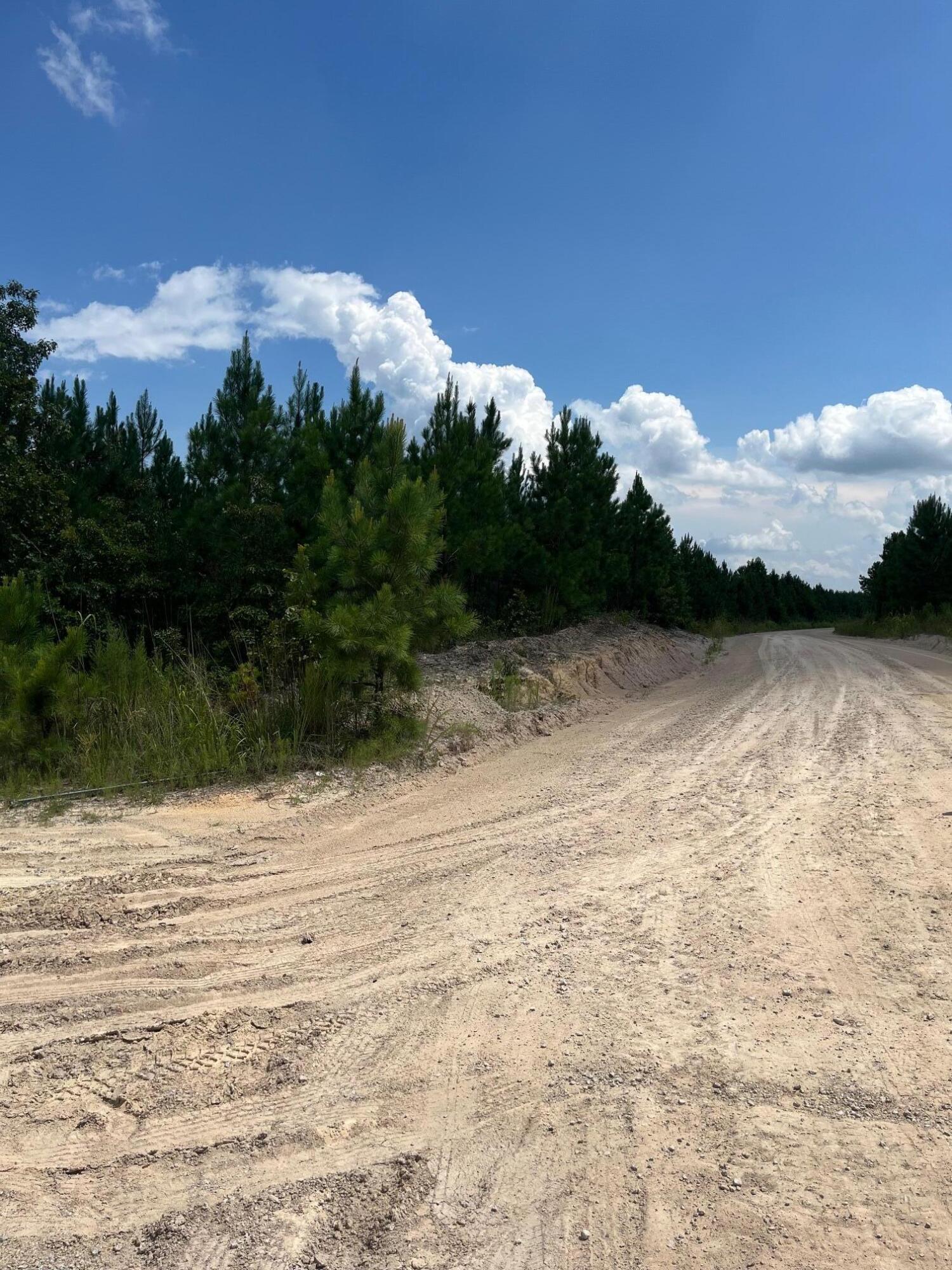 1 A Brunson Teal Road, Unit BFF 1A Patrick, SC 29584 - Photo 5 of 17 IMG_7023