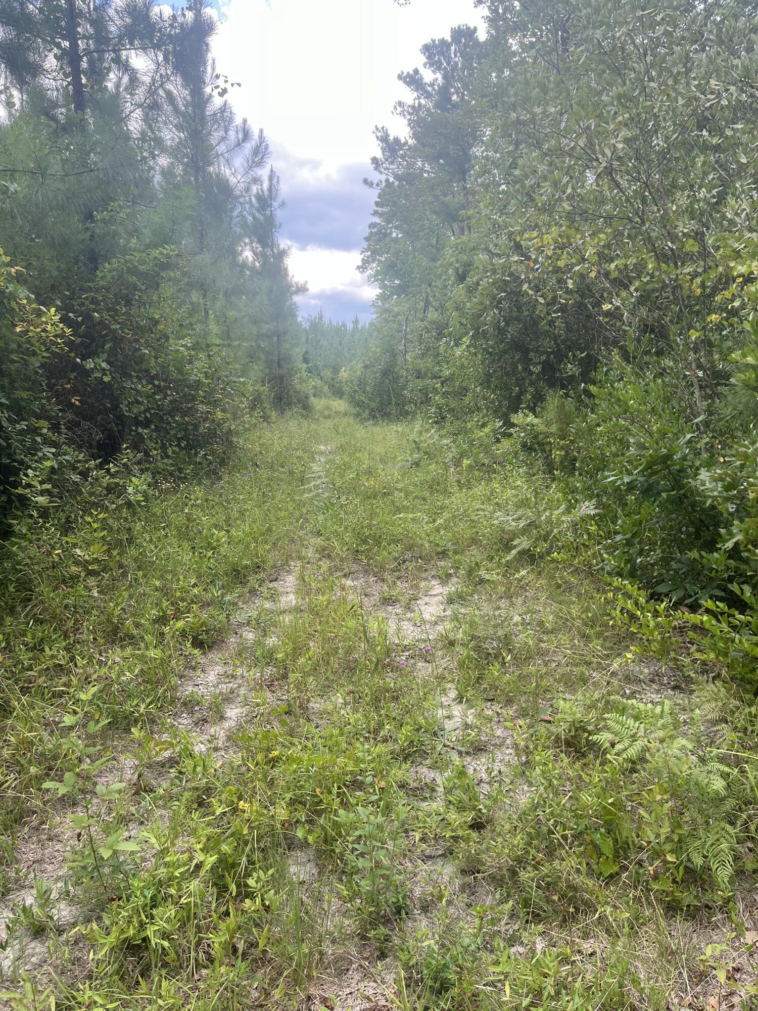 1 A Brunson Teal Road, Unit BFF 1A Patrick, SC 29584 - Photo 6 of 17 IMG_7061