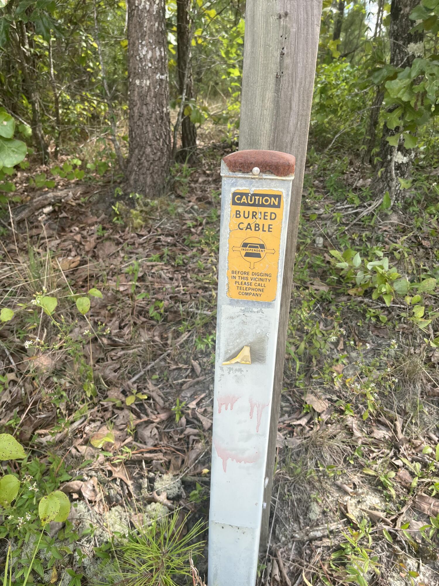 1 A Brunson Teal Road, Unit BFF 1A Patrick, SC 29584 - Photo 10 of 17 IMG_7068