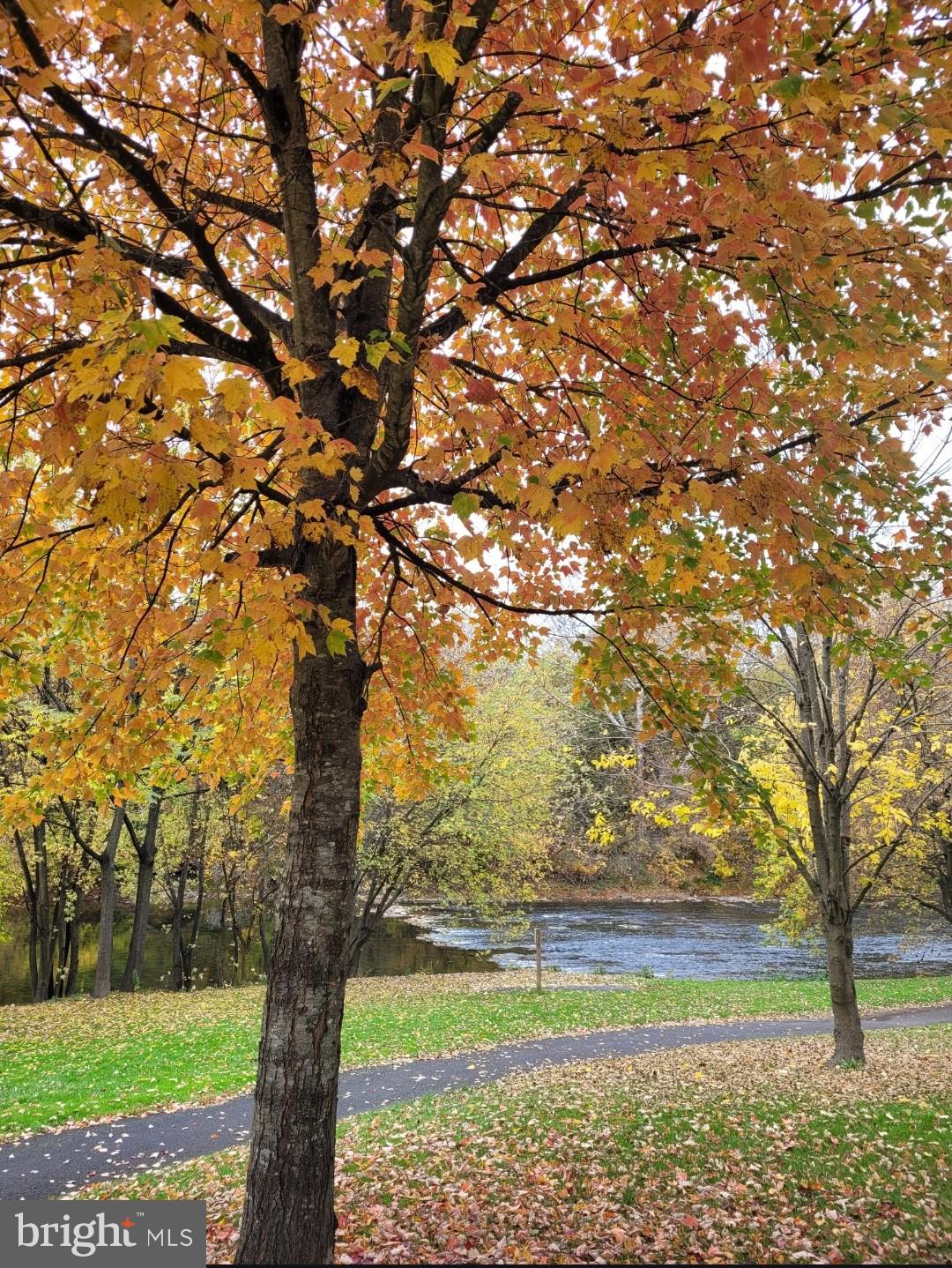 641 Erford Road Camp Hill, PA 17011 - Photo 31 of 55