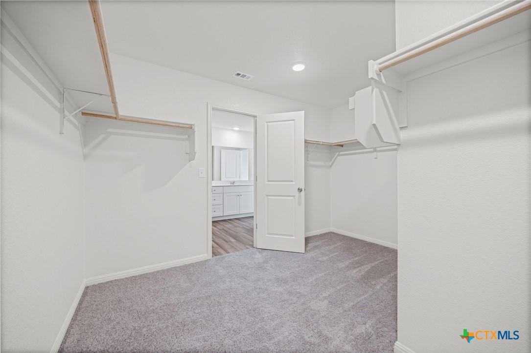 231 Enforcer Loop Jarrell, TX 76537 - Photo 27 of 41 Primary Walk in Closet