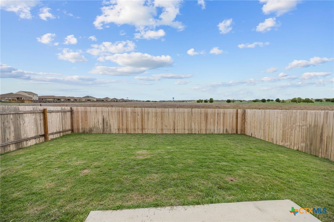 231 Enforcer Loop Jarrell, TX 76537 - Photo 39 of 41 Backyard