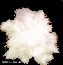 313 Pine Ridge Lane Melbourne, FL 32940 - Photo 28 of 28 a view of a covered with snow in big yard