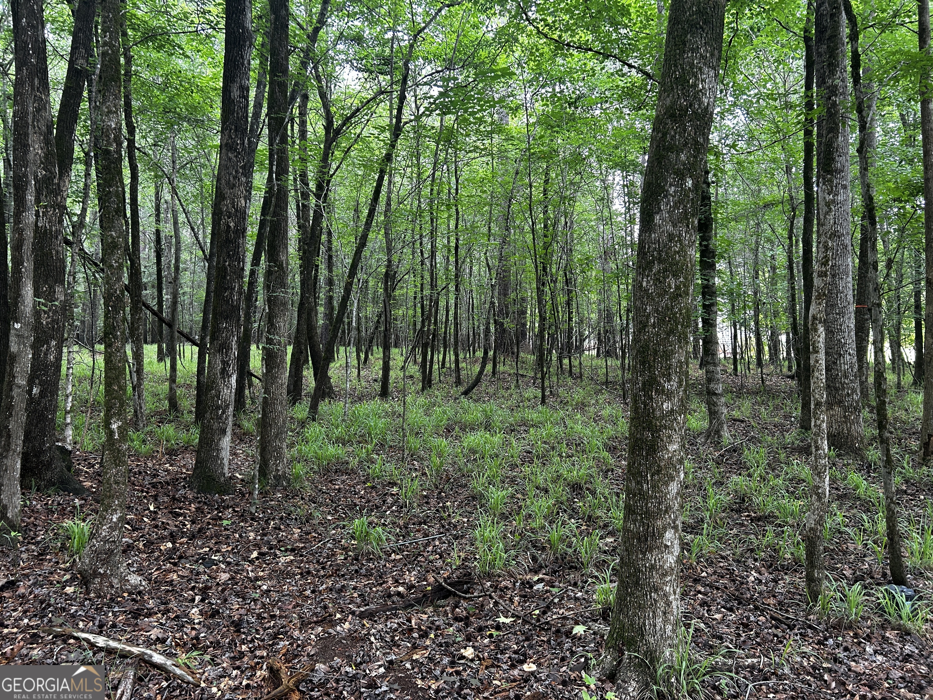 215 Winding River Road Eatonton, GA 31024 - Photo 2 of 3