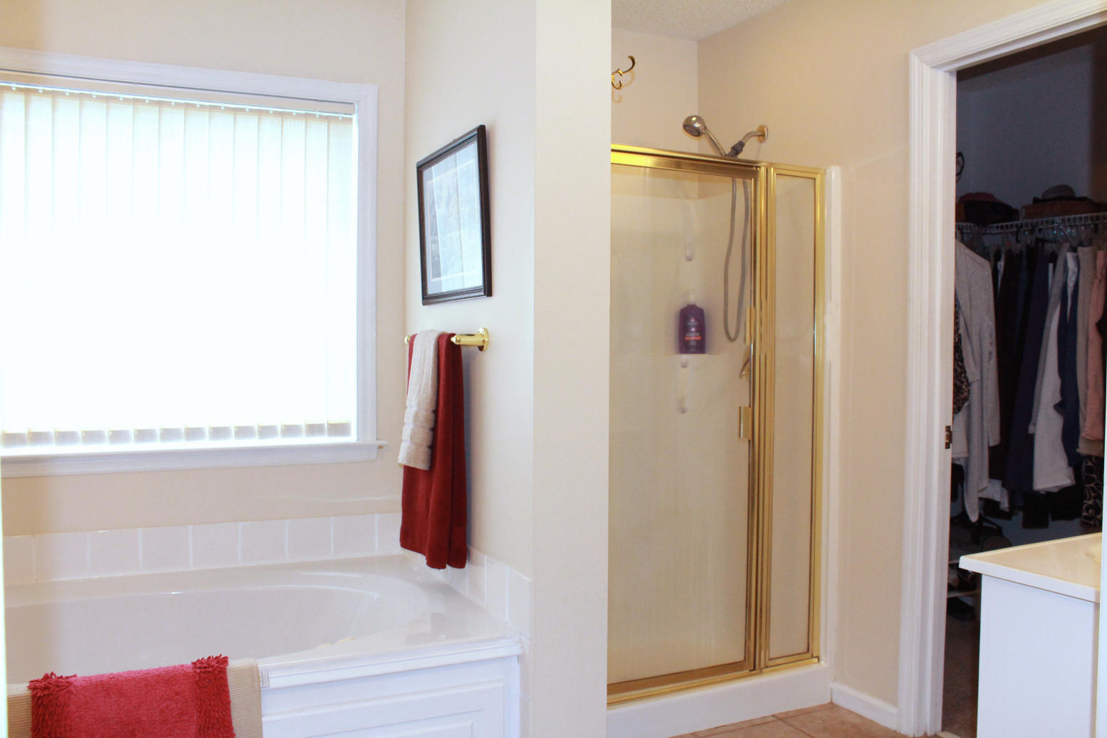 1808 State Rd S-8-684 Moncks Corner, SC 29461 - Photo 27 of 34 mallard 3639 masterbath one (3) 30