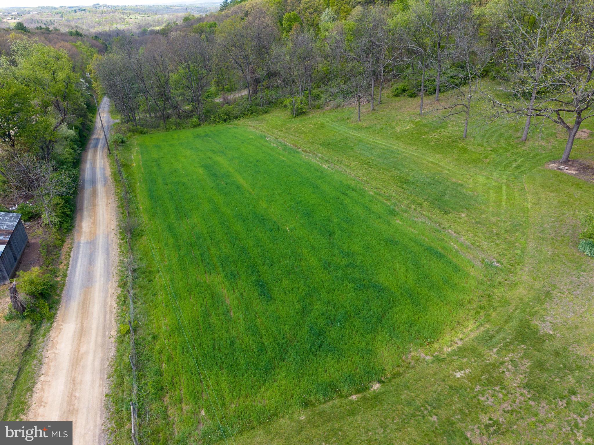 1020 Clark Hill Road Mount Pleasant Mills, PA 17853 - Photo 9 of 76 a view of a lush green space