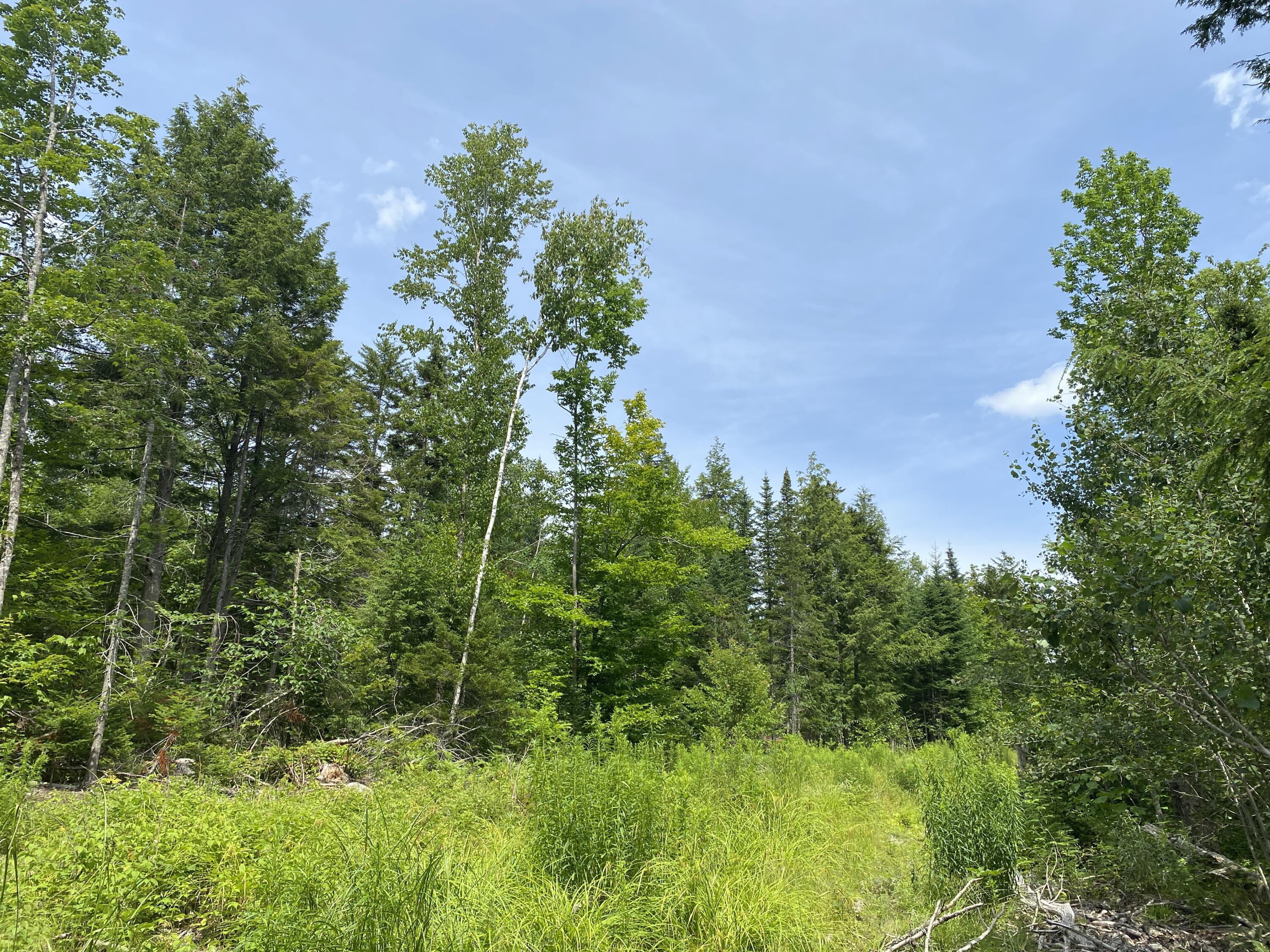 1509 Otis Road Ellsworth, ME 04605 - Photo 26 of 26 IMG_3898