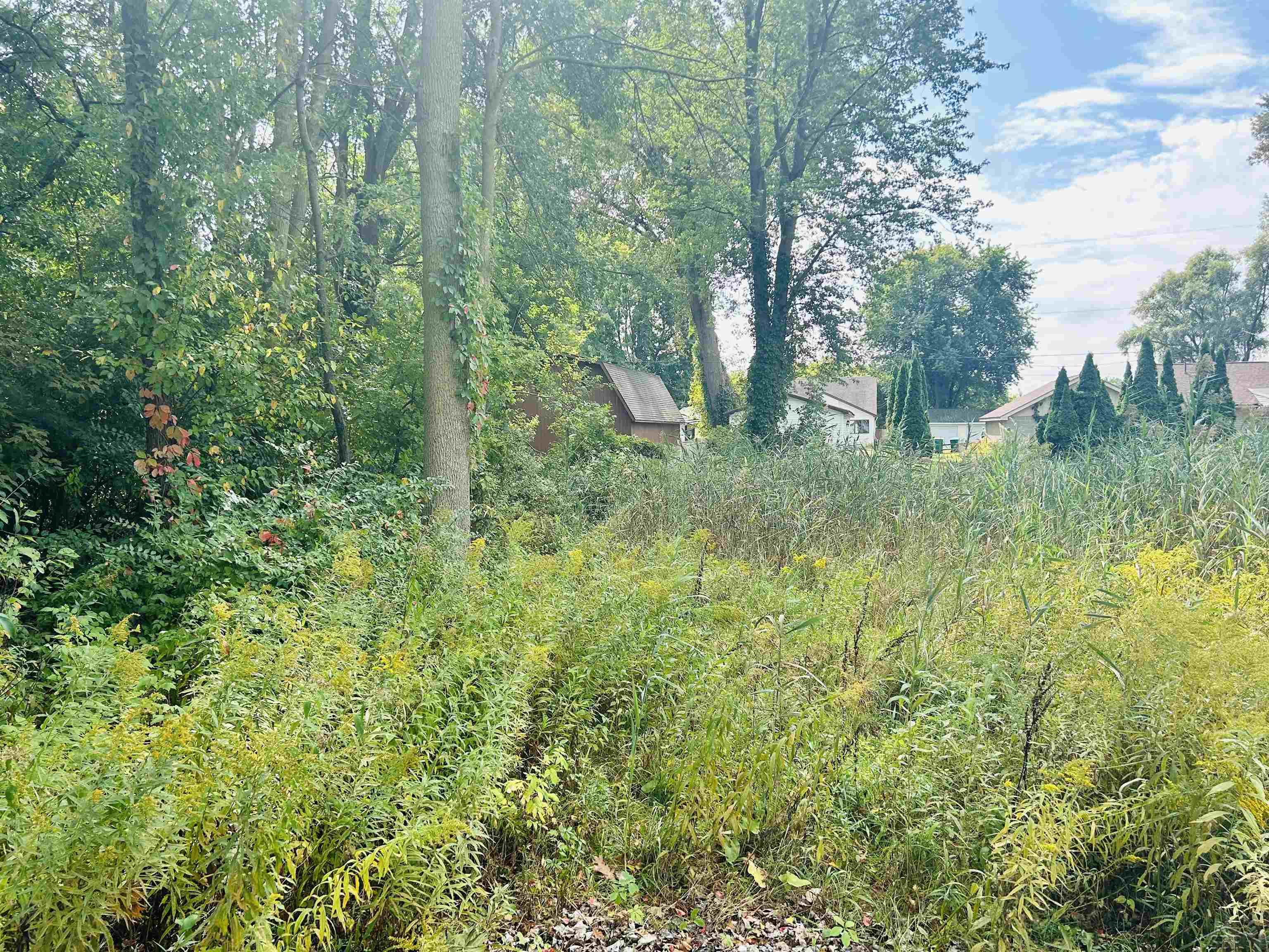 Shady Shores Road Bay City, MI 48706 - Photo 7 of 11