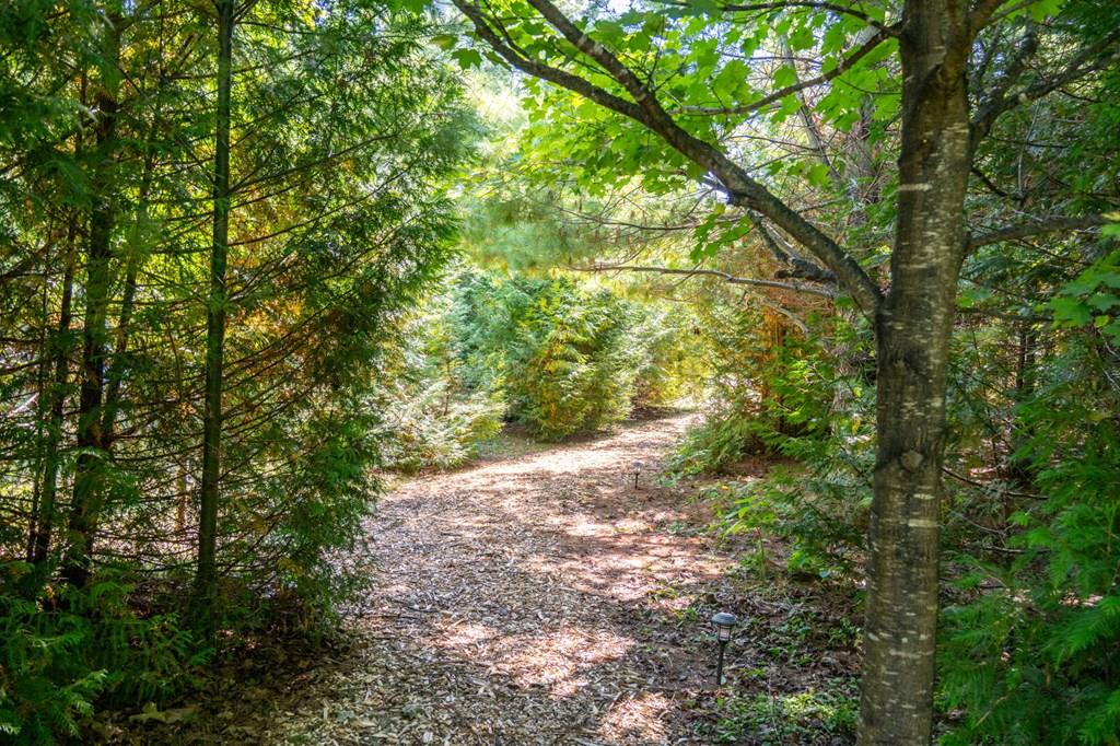 Lot 6 Wildwood Road Ellison Bay, WI 54210 - Photo 1 of 55