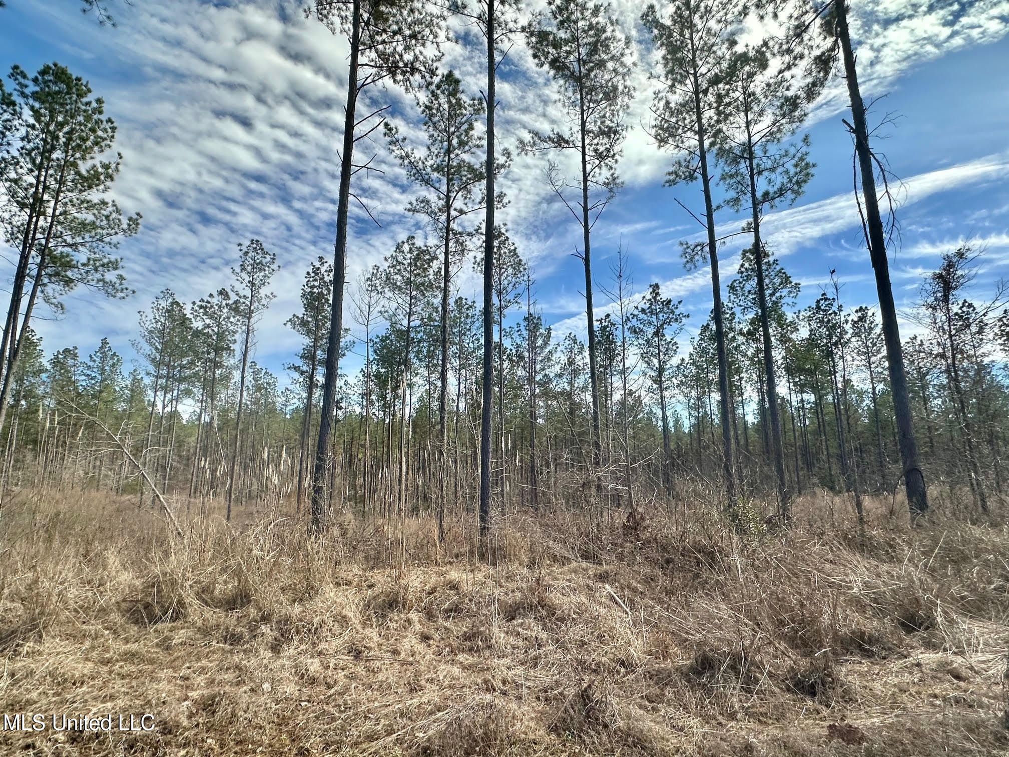 1 Prentiss Crump Road Utica, MS 39175 - Photo 24 of 38 574