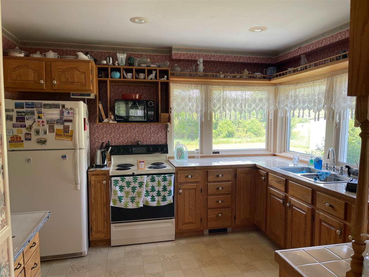 7938 Homestead Road Benzonia, MI 49616 - Photo 6 of 19 1888329-5.JPG