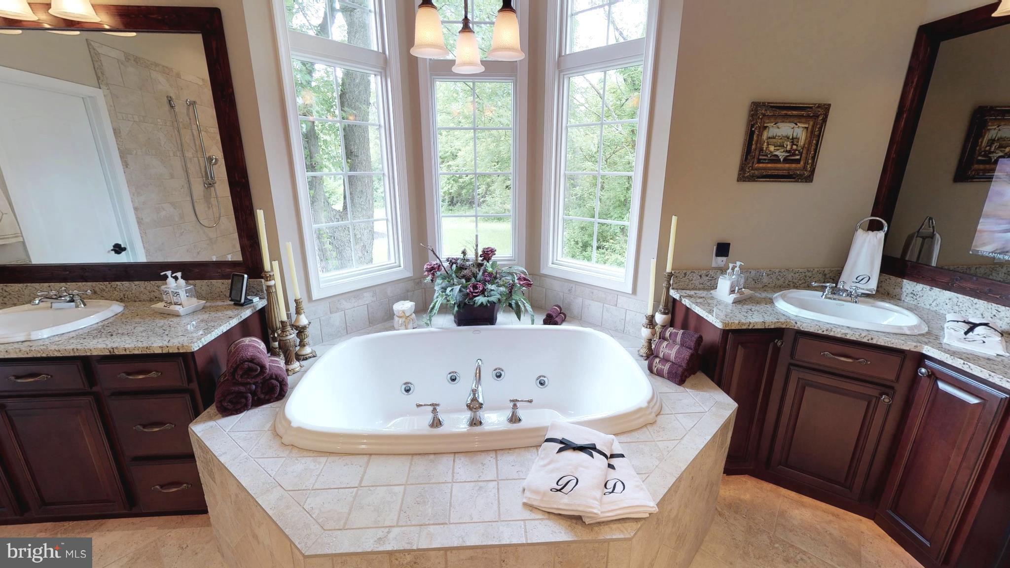 2620 Love Point Road Stevensville, MD 21666 - Photo 16 of 30 Jetted Tub with Heater and Unlimited Hot Water