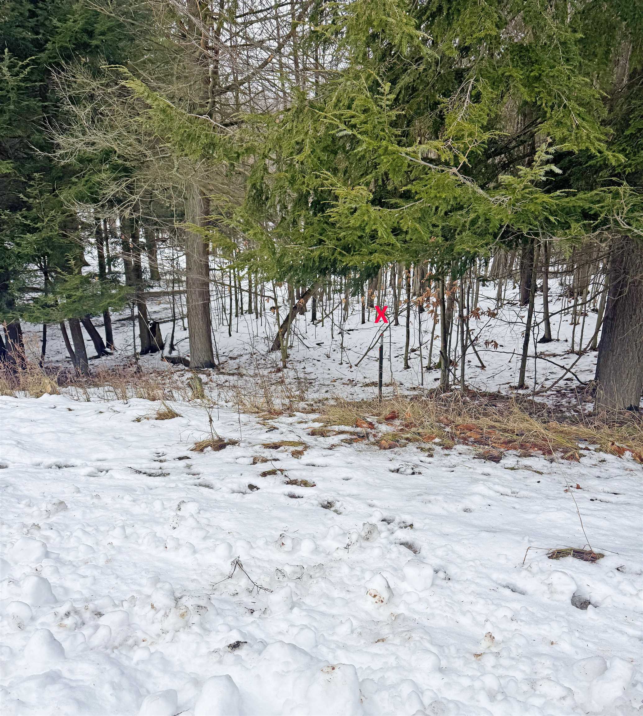 82-107 Moon Ridge Road, Unit LOT: 82,107 Onekama, MI 49675 - Photo 48 of 48