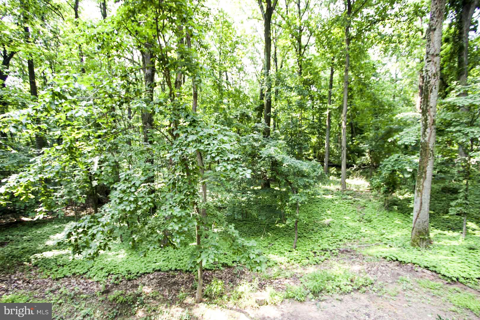 10816 Hudson Road Owings Mills, MD 21117 - Photo 23 of 23 View