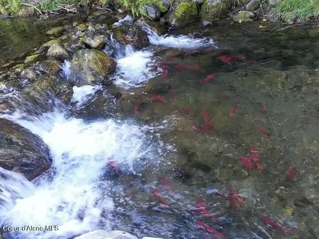 $4,100,000 | 145 Cedar Drive, Clark Fork, ID 83811