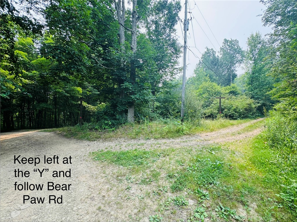2446 Red Fox Road Portville, NY 14770 - Photo 34 of 41 first "Y"
