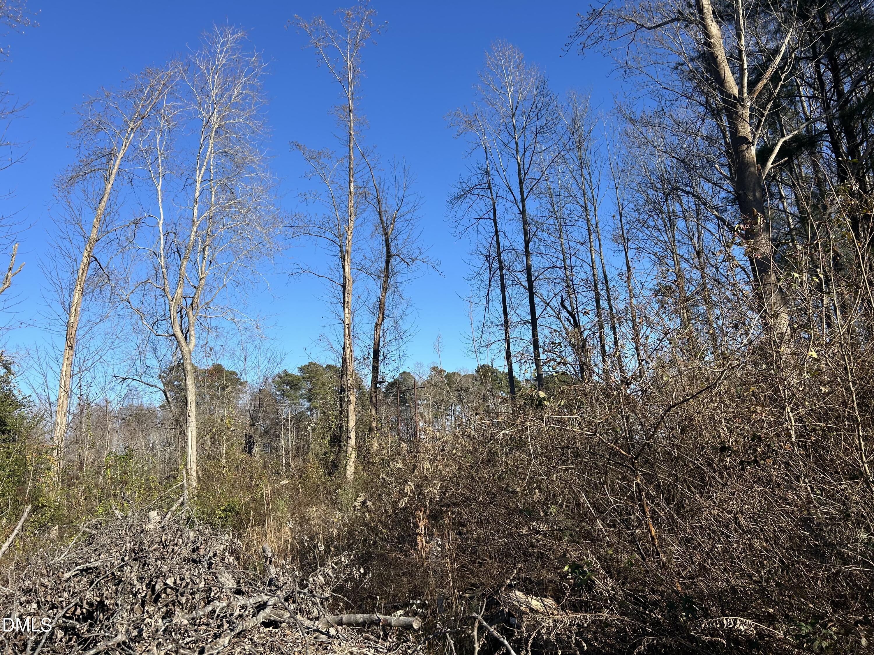 2671 Guy Road Clayton, NC 27520 - Photo 13 of 13 IMG_2765