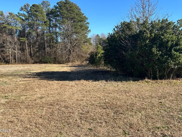 a view of road and trees