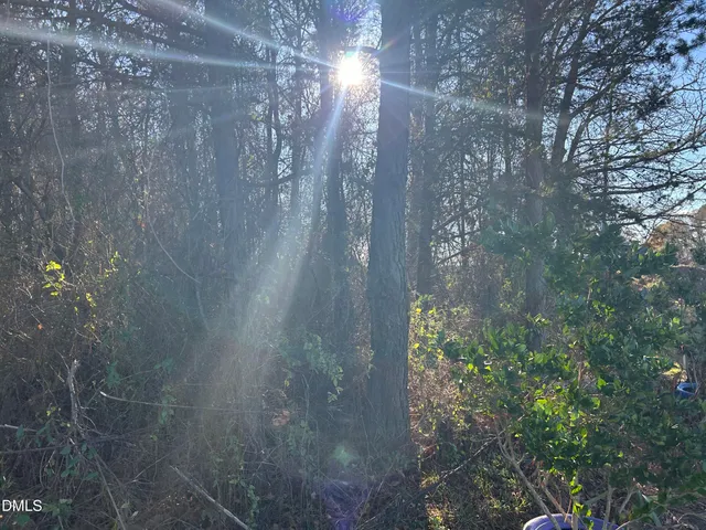 a view of a yard with large trees