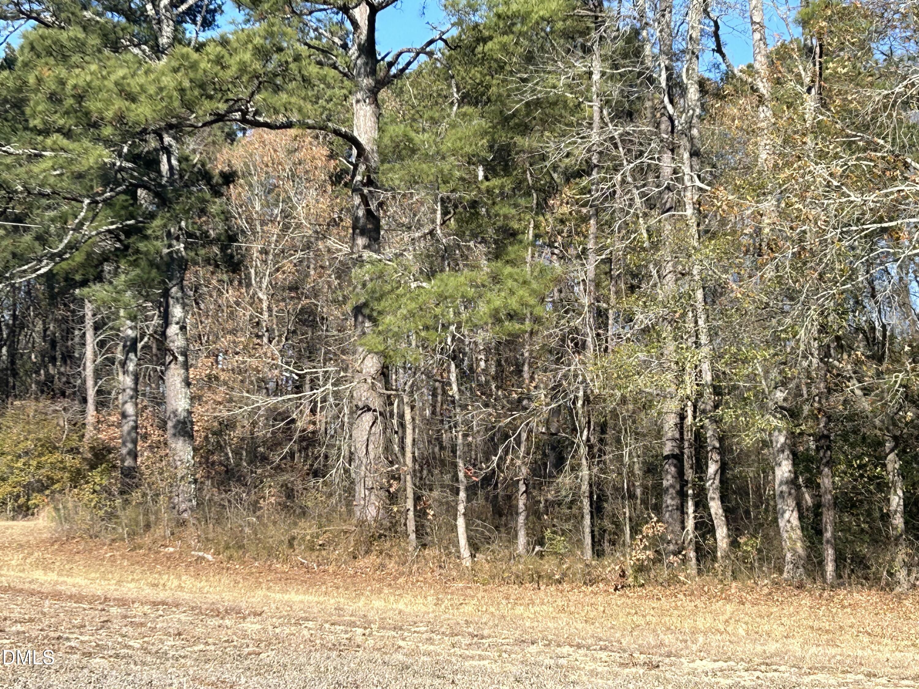 2671 Guy Road Clayton, NC 27520 - Photo 7 of 13 IMG_2744