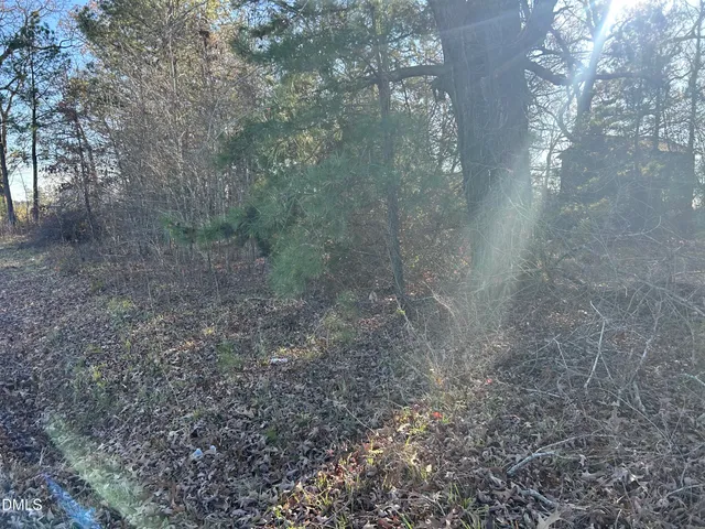 a view of a tree with a yard