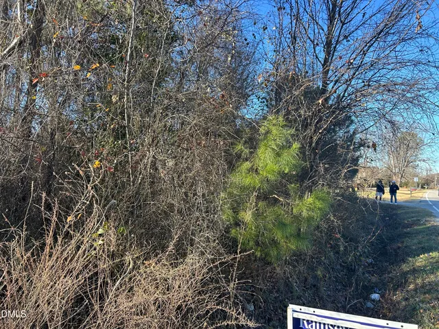 a view of a road with a yard