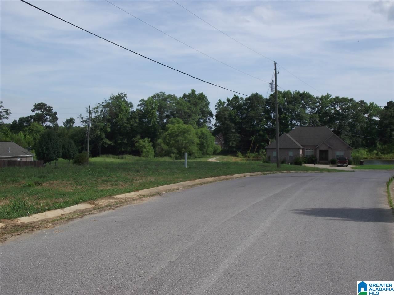 0 Logan Farms Road, Unit 1 Vance, AL 35490 - Photo 5 of 18