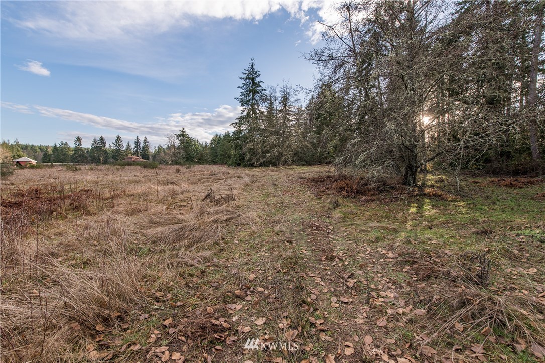 0 John Jacobs Road Port Angeles, WA 98362 - Photo 3 of 16