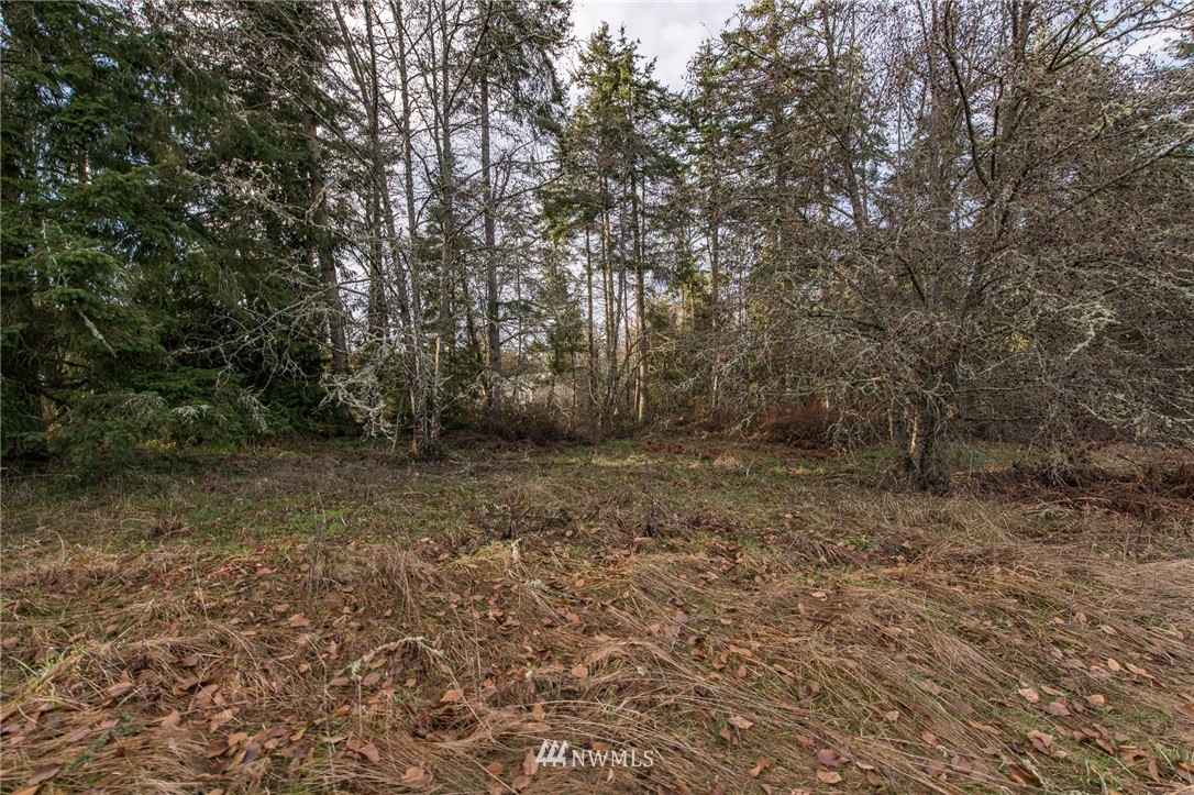 0 John Jacobs Road Port Angeles, WA 98362 - Photo 4 of 16