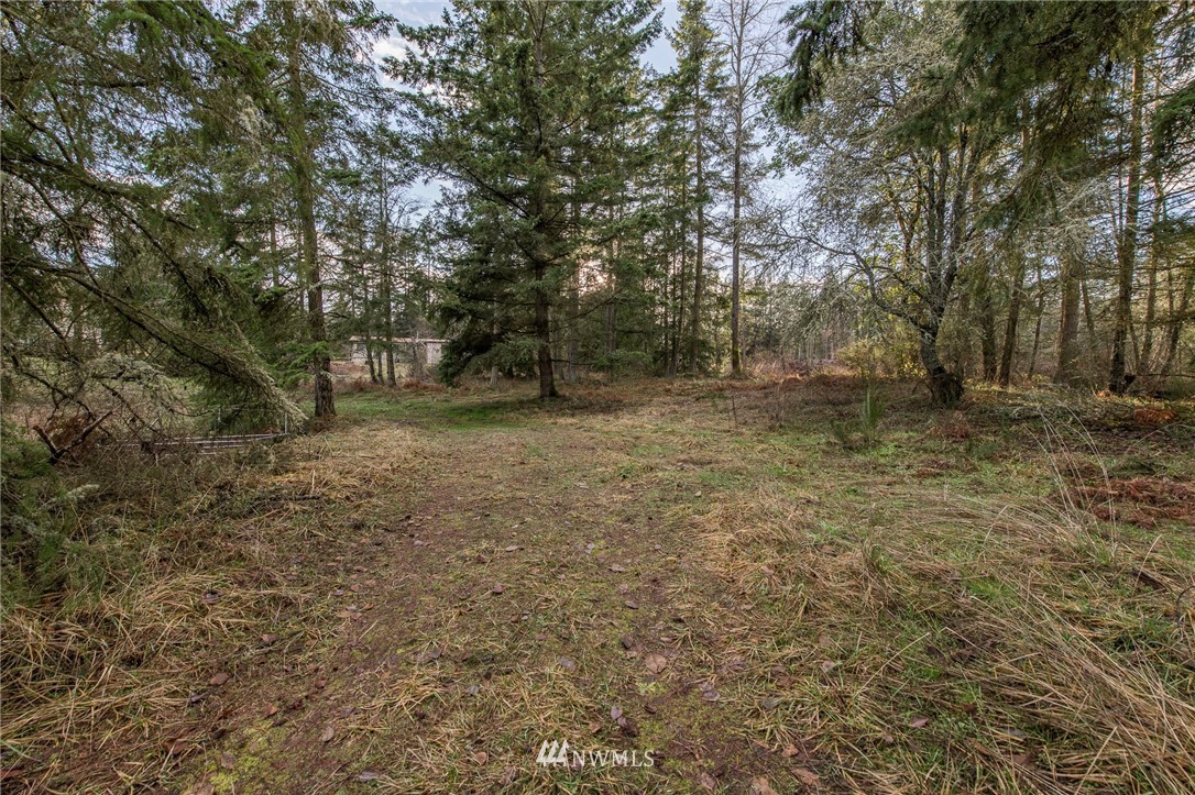 0 John Jacobs Road Port Angeles, WA 98362 - Photo 8 of 16