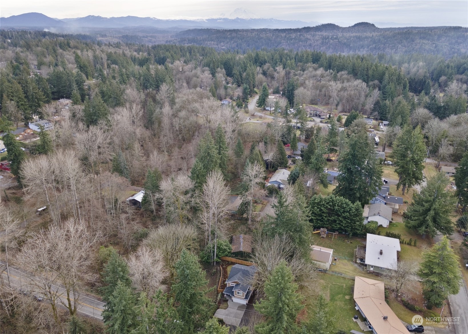 17821 Southeast 134th Street Renton, WA 98059 - Photo 31 of 33 a view of a city with lush green forest