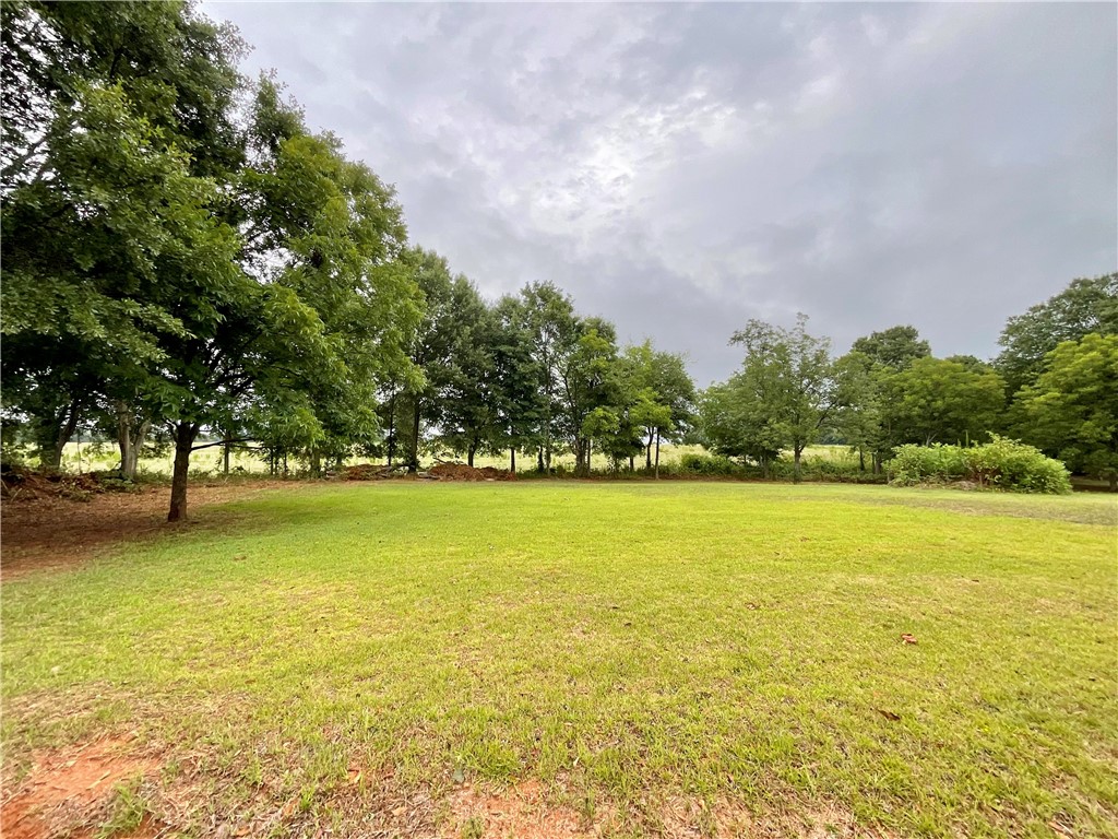 Tract B Double Springs Road Townville, SC 29689 - Photo 1 of 10 Gallery Image 1