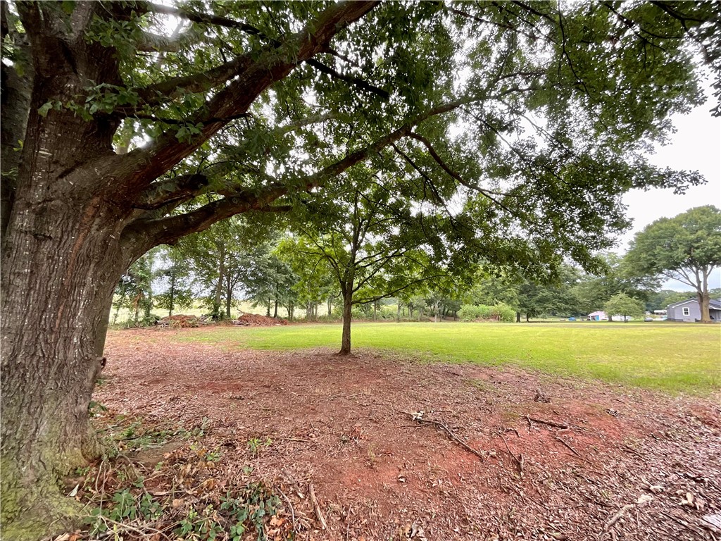 Tract B Double Springs Road Townville, SC 29689 - Photo 3 of 10 Gallery Image 3