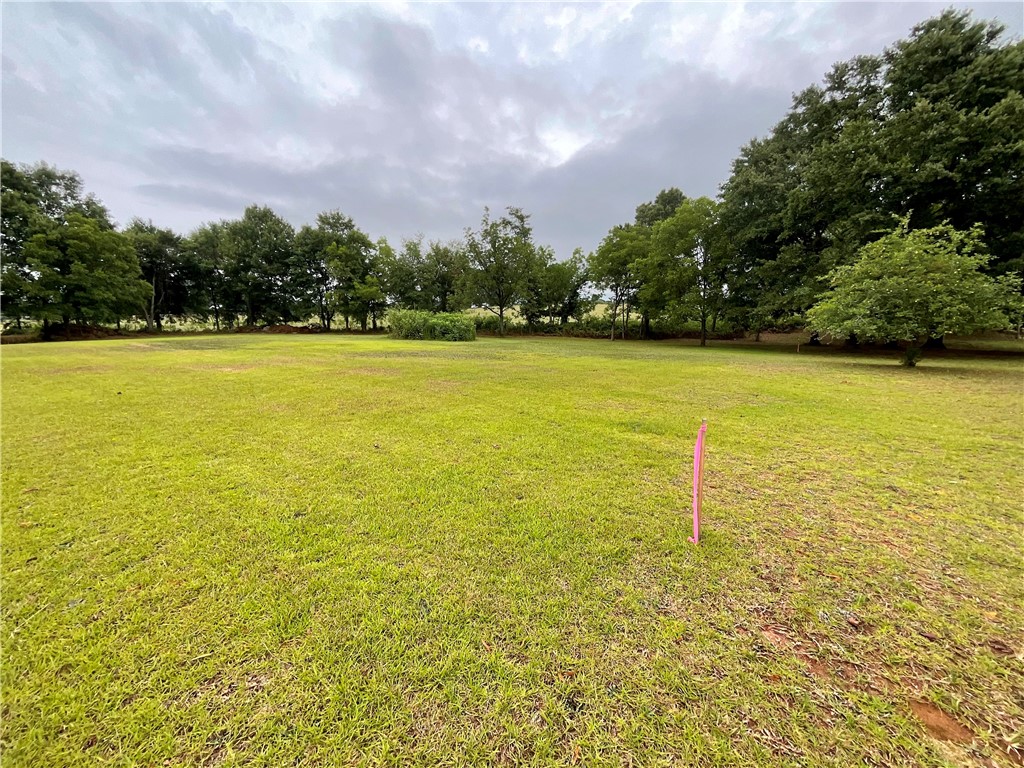 Tract B Double Springs Road Townville, SC 29689 - Photo 4 of 10 Gallery Image 4