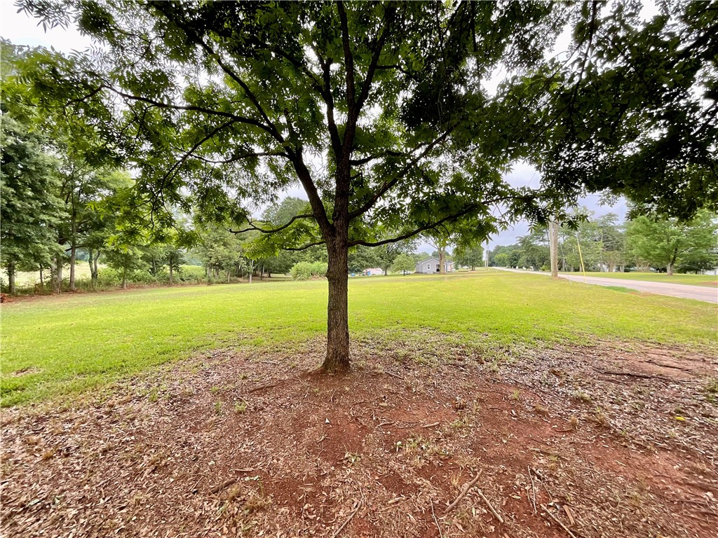Tract B Double Springs Road Townville, SC 29689 - Photo 5 of 10 Gallery Image 5