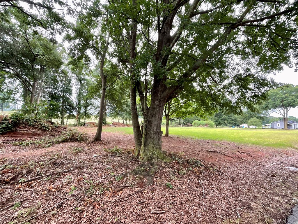 Tract B Double Springs Road Townville, SC 29689 - Photo 7 of 10 Gallery Image 7