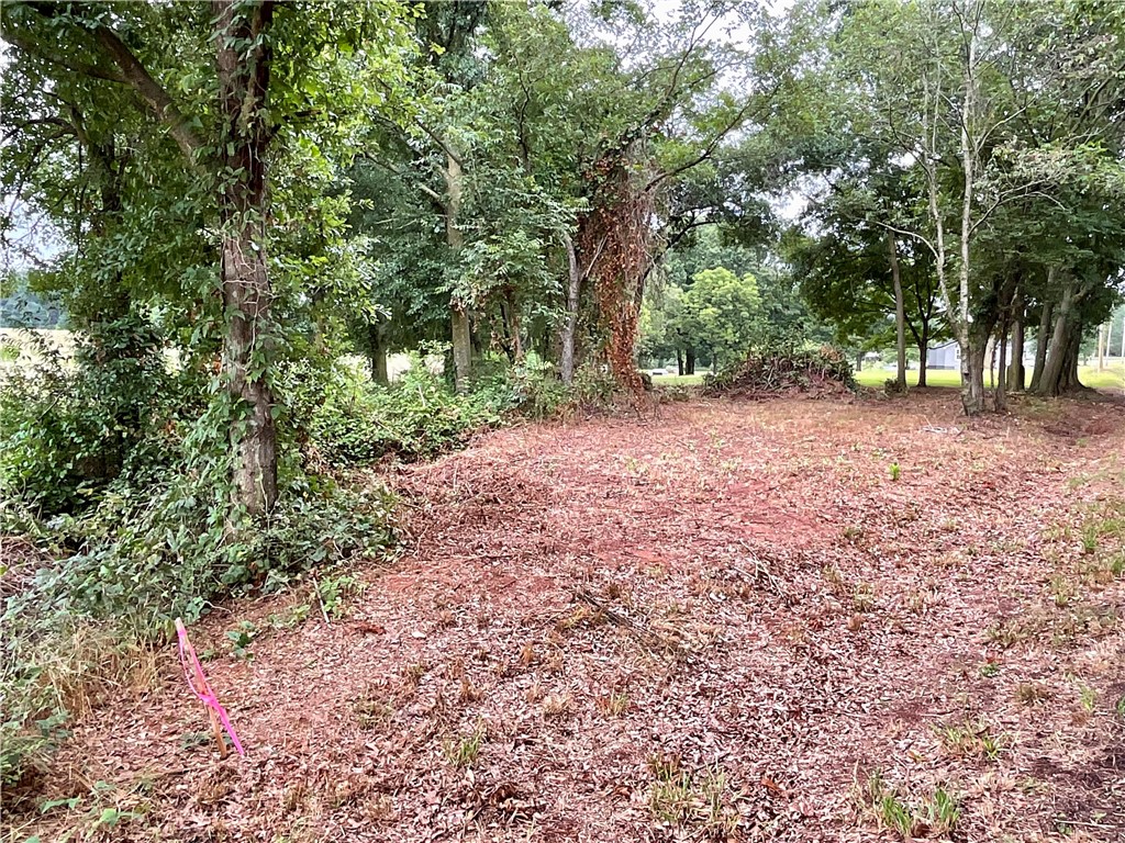 Tract B Double Springs Road Townville, SC 29689 - Photo 8 of 10 Gallery Image 8