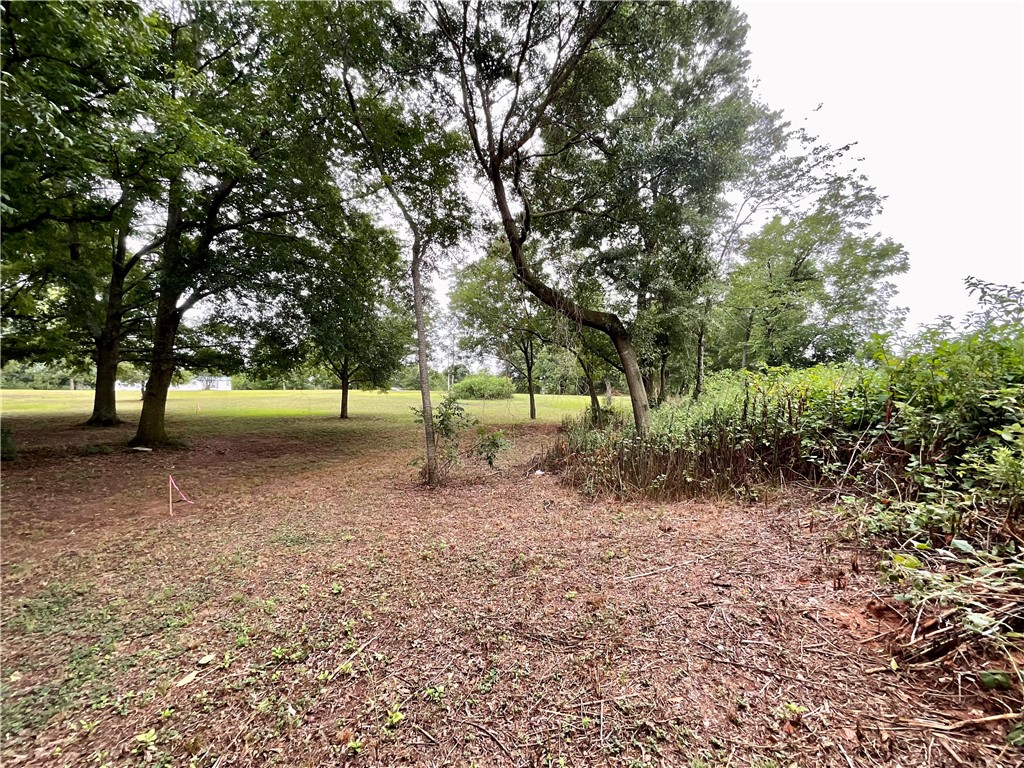Tract B Double Springs Road Townville, SC 29689 - Photo 10 of 10 Gallery Image 10