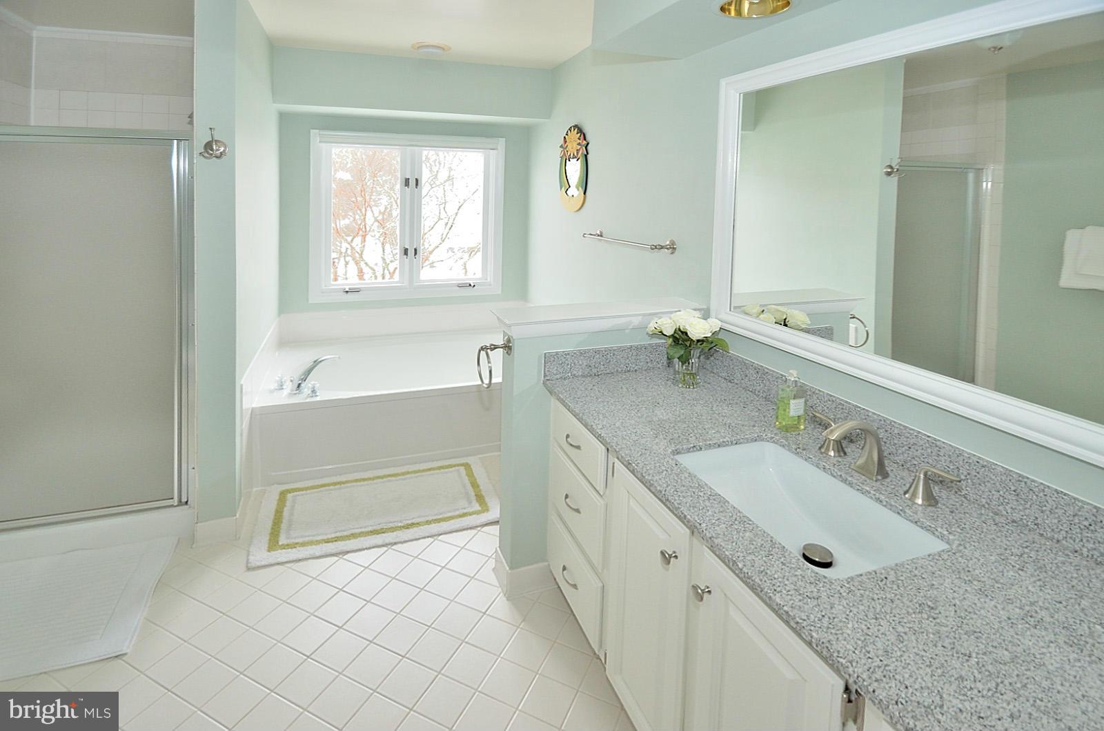 1283 Wedgewood Manor Way Reston, VA 20194 - Photo 15 of 27 a bathroom with a granite countertop sink a mirror and a bathtub