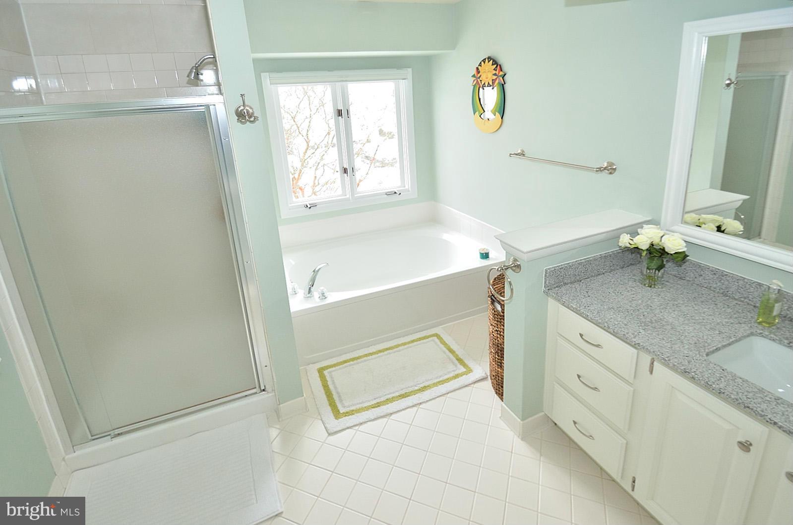 1283 Wedgewood Manor Way Reston, VA 20194 - Photo 16 of 27 a bathroom with a granite countertop sink and a mirror