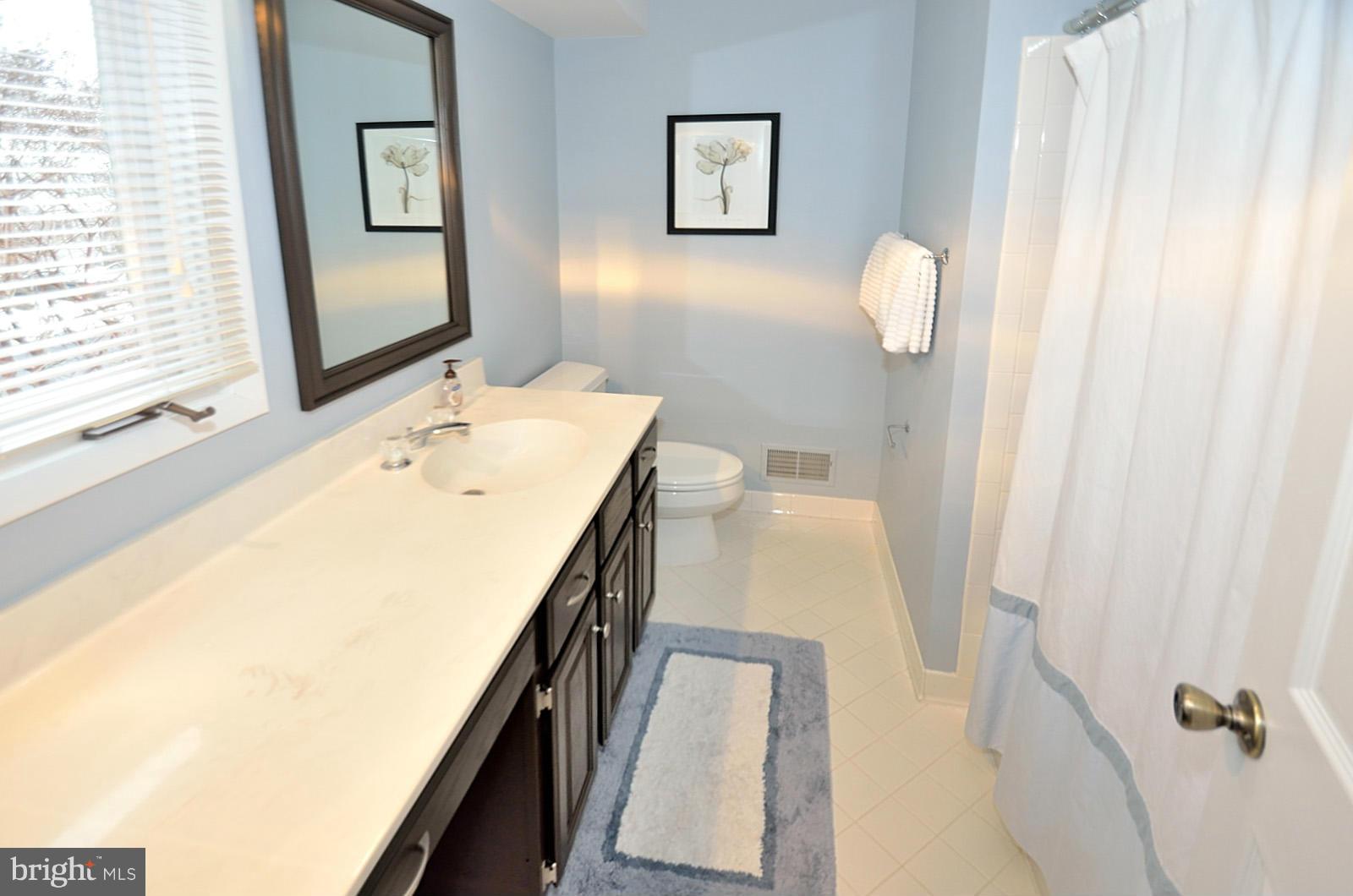 1283 Wedgewood Manor Way Reston, VA 20194 - Photo 18 of 27 a bath room with a sink