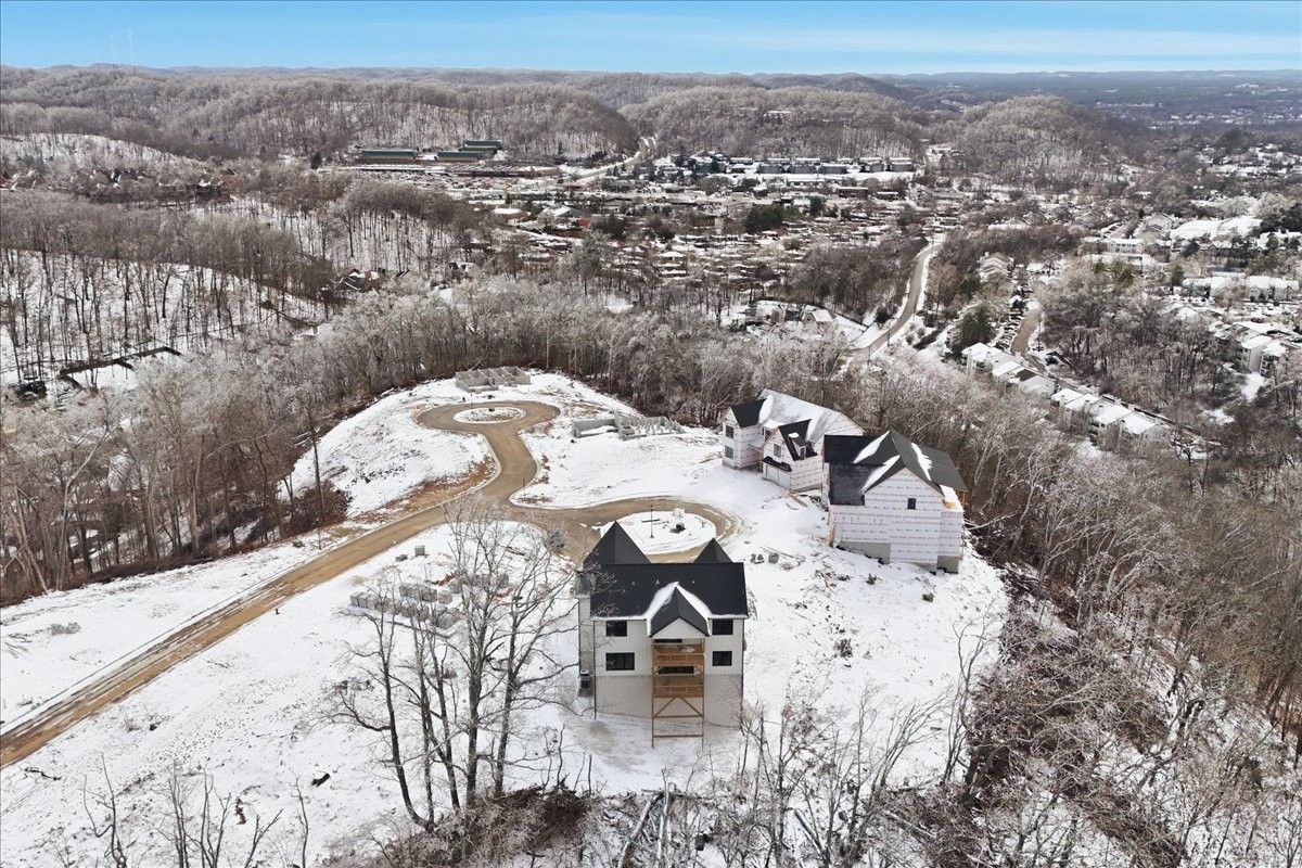 904 Spring Ridge Court Nashville, TN 37221 - Photo 72 of 82 Gallery Image 72