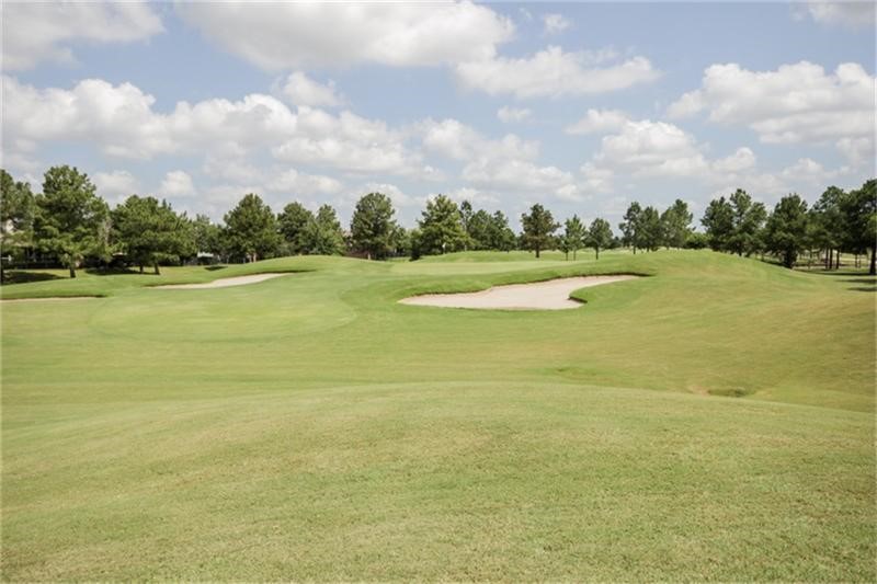 10606 Steppinstone Court Spring, TX 77379 - Photo 5 of 13 Golf course