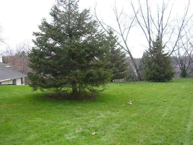 18 Heyden Road Troy, NY 12180 - Photo 7 of 8 Photo 7
