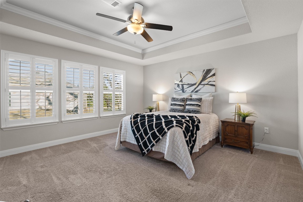 10502 Turnbull Loop, Unit 41 Austin, TX 78717 - Photo 14 of 29 Carpeted bedroom with ornamental molding, ceiling fan, and a raised ceiling