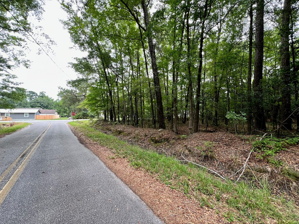 0 East Clark St/75 Big Loop Road Pinewood, SC 29125 - Photo 4 of 10 Gallery Image 4