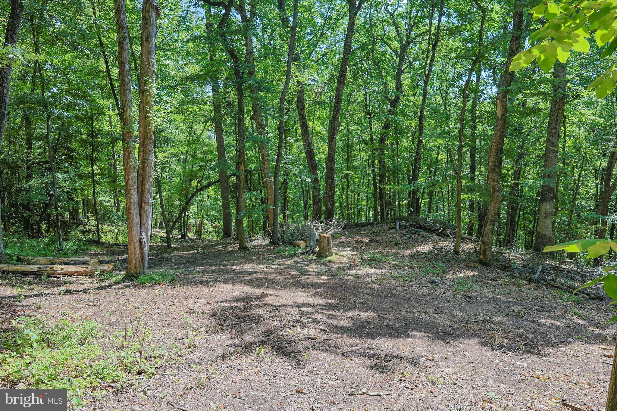 Tbd Comptons Road Castleton, VA 22716 - Photo 10 of 33