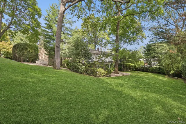 a view of a trees with a yard