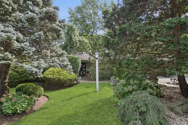 a view of a green field with lots of bushes
