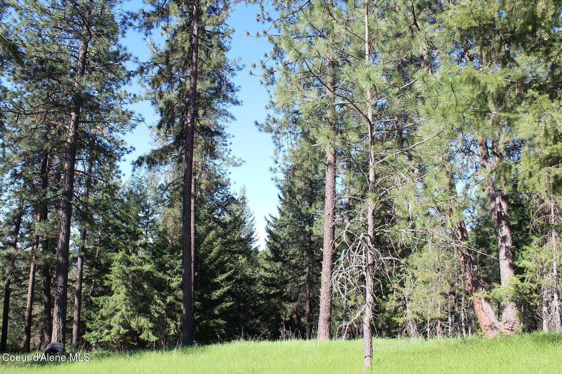 881-2714 South Allen Road Coeur D'Alene, ID 83814 - Photo 38 of 54 IMG_7236